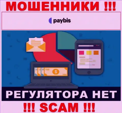 У PayBis на сайте не имеется информации о регуляторе и лицензии конторы, следовательно их вовсе нет