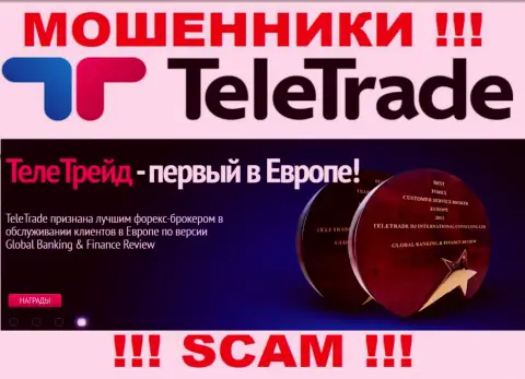 ФОРЕКС - конкретно в этой области орудуют коварные internet махинаторы TeleTrade Ru