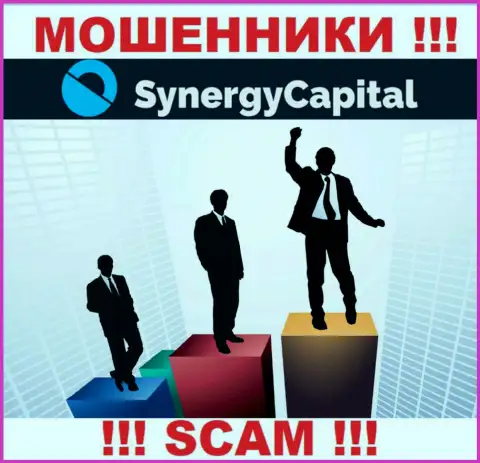 Synergy Capital предпочли оставаться в тени, данных об их руководстве вы не найдете