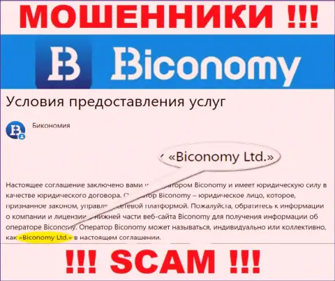 Юридическое лицо, управляющее ворами Biconomy - это Бикономи Лтд