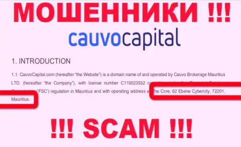 Невозможно забрать назад средства у конторы CauvoCapital - они спрятались в оффшорной зоне по адресу: The Core, 62 Ebene Cybercity, 72201, Mauritius