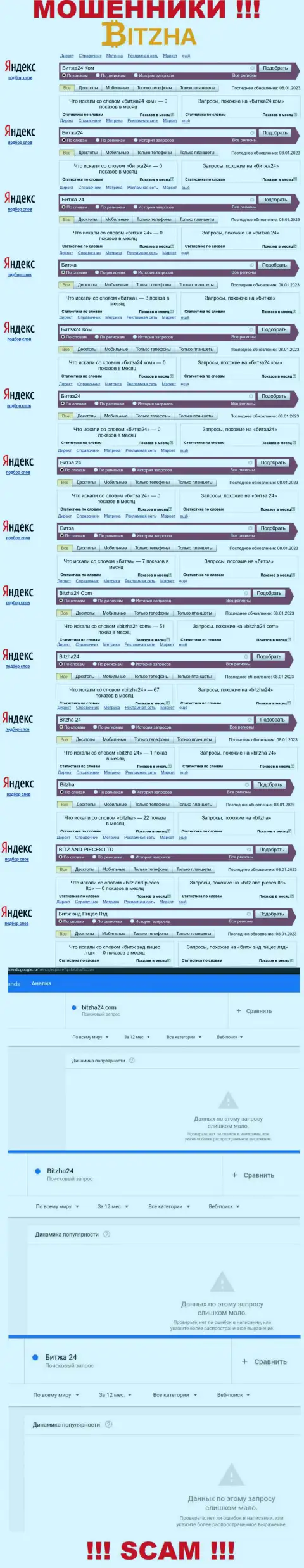 Сколько раз пользователи интернет сети пытались отыскать информацию об разводилах BITZ AND PIECES LTD ???