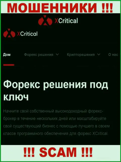 X Critical - это сомнительная компания, род деятельности которой - Форекс