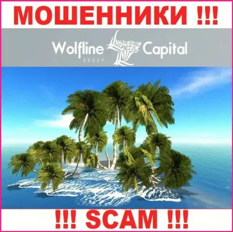 Мошенники Wolfline Capital не представляют правдивую информацию касательно их юрисдикции