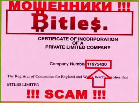 Номер регистрации internet аферистов Битлес Еу, с которыми весьма рискованно работать - 11975430