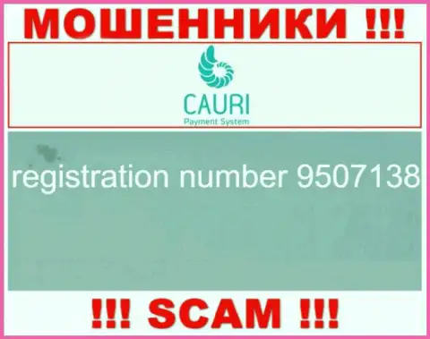 Регистрационный номер, который принадлежит незаконно действующей компании Каури Ком - 9507138