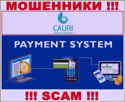Шулера Каури Ком, промышляя в области Платежная система, грабят клиентов