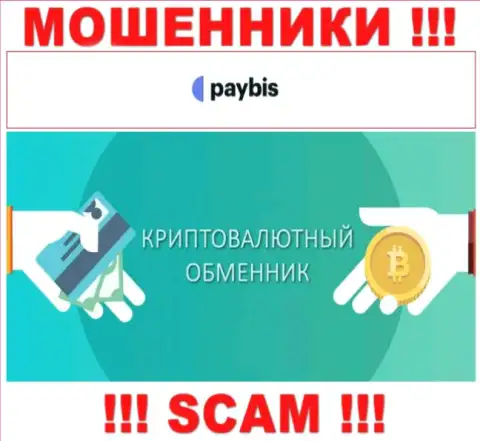 Крипто обменник - это вид деятельности преступно действующей компании Paybis LTD