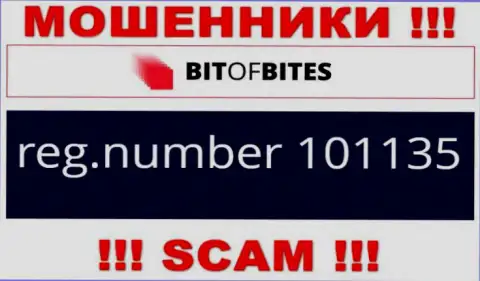 Регистрационный номер компании BitOfBites, который они разместили у себя на web-сервисе: 101135