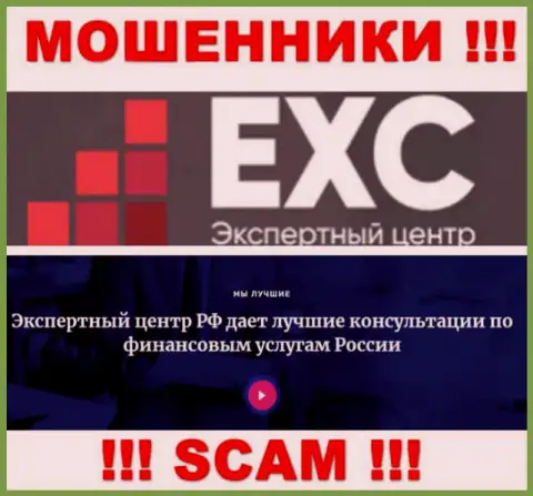 Экспертный Центр России заняты разводняком клиентов, а Консалтинг лишь прикрытие