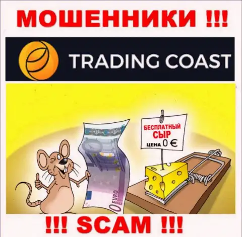 В организации Trading-Coast Com запудривают мозги лохам и заманивают в свой мошеннический проект