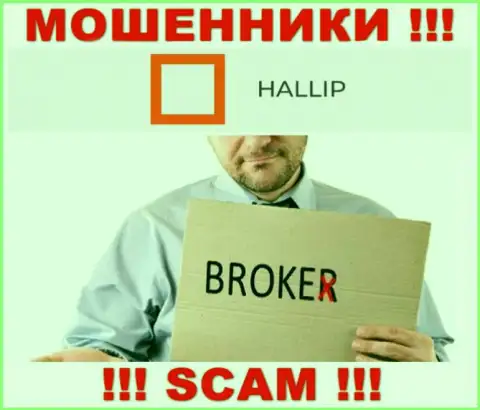 Сфера деятельности интернет мошенников Халлип - это Брокер, но имейте ввиду это надувательство !!!