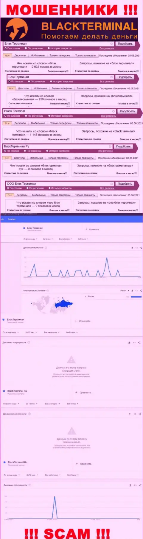 Количество поисковых запросов инфы о мошенниках BlackTerminal Ru во всемирной сети internet