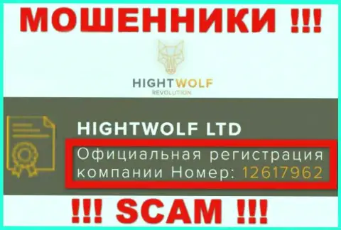 Наличие регистрационного номера у HightWolf Com (12617962) не говорит о том что организация солидная