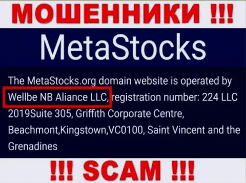 Юр. лицо организации MetaStocks Org - это Wellbe NB Aliance LLC, инфа позаимствована с официального интернет-сервиса