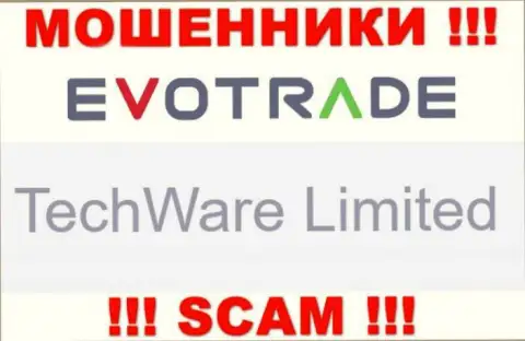 Юр лицом ЭвоТрейд Ком является - TechWare Limited