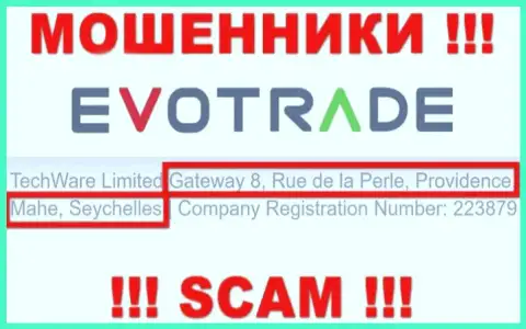 Из конторы TechWare Limited забрать денежные средства не выйдет - указанные internet аферисты спрятались в оффшорной зоне: Gateway 8, Rue de la Perle, Providence, Mahe, Seychelles