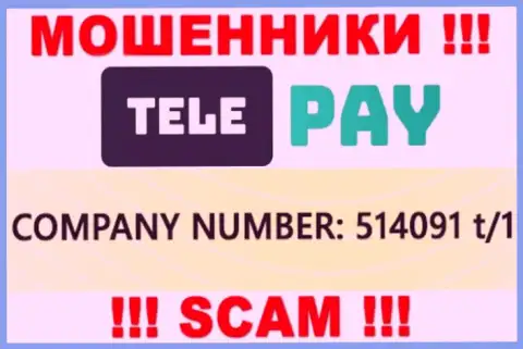 Регистрационный номер ТелеПэй, который указан махинаторами у них на информационном ресурсе: 514091 t/1