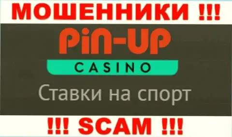 Основная деятельность PinUp Casino - это Казино, будьте осторожны, действуют незаконно