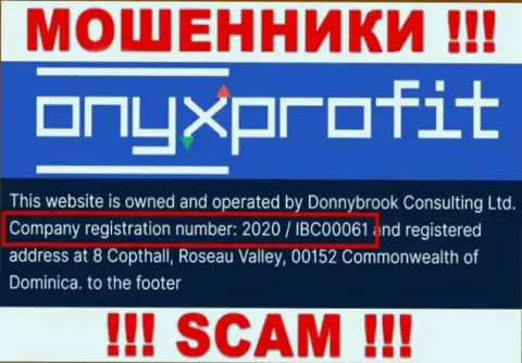 Регистрационный номер, который принадлежит организации Donnybrook Consulting Ltd - 2020 / IBC00061