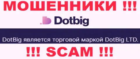 Dot Big - юридическое лицо internet-обманщиков контора DotBig LTD