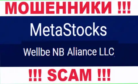 Юридическое лицо жуликов MetaStocks Co Uk - это Wellbe NB Aliance LLC