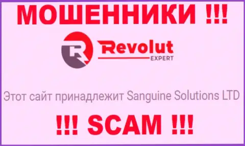 Инфа об юридическом лице internet шулеров RevolutExpert