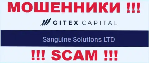 Юр лицо GitexCapital - это Sanguine Solutions LTD, именно такую инфу опубликовали жулики на своем сайте