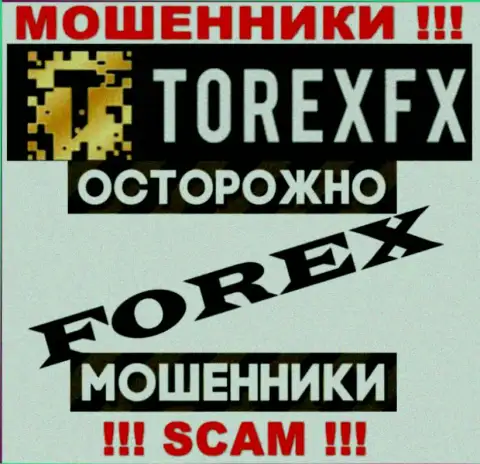 Направление деятельности TorexFX: FOREX - хороший заработок для internet аферистов